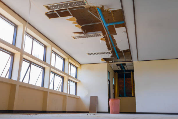Best Flood damage cleanup  in Daniels, WV