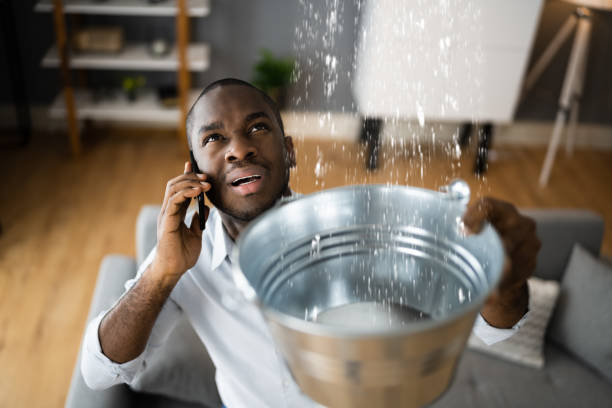 Best Residential water damage restoration  in Daniels, WV