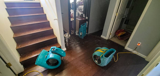 Best Water damage restoration insurance claims  in Daniels, WV