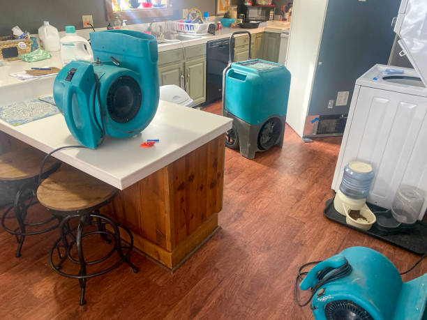 Best Water damage restoration near me  in Daniels, WV