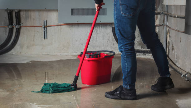 Best Water damage cleanup near me  in Daniels, WV