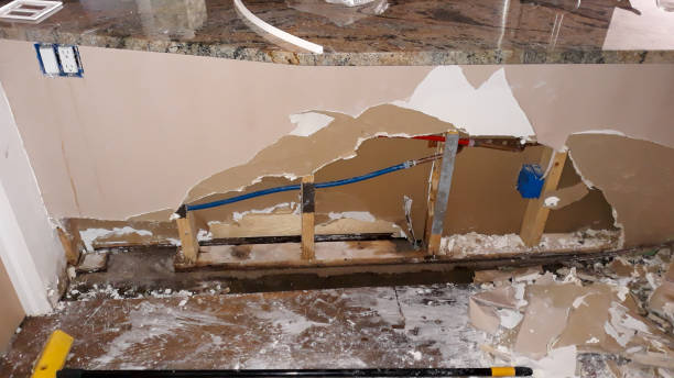 Best Professional water damage repair  in Daniels, WV
