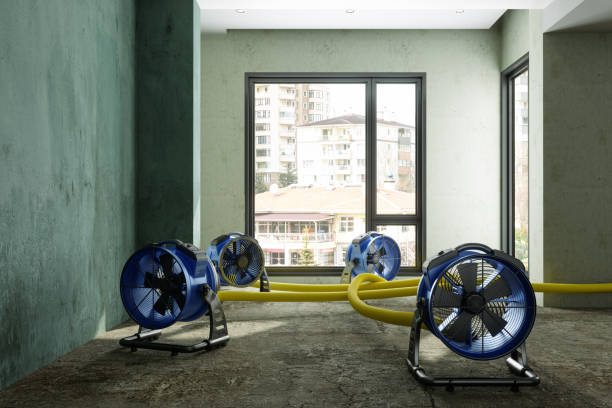 Best Water damage cleanup near me  in Daniels, WV