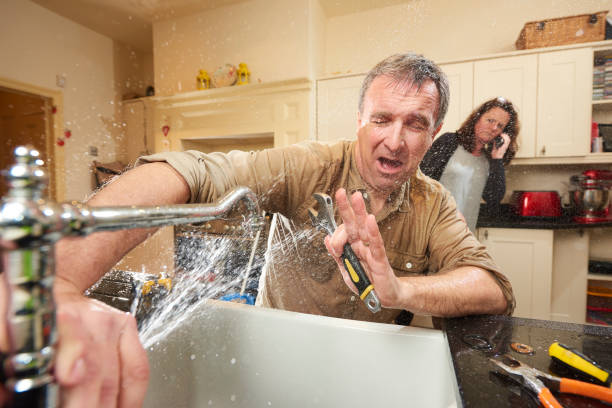 Best Water damage cleanup near me  in Daniels, WV